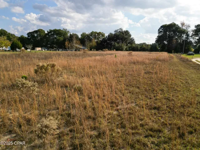 $28,900 | 0 Welcome Church Road, Sneads, FL 32460