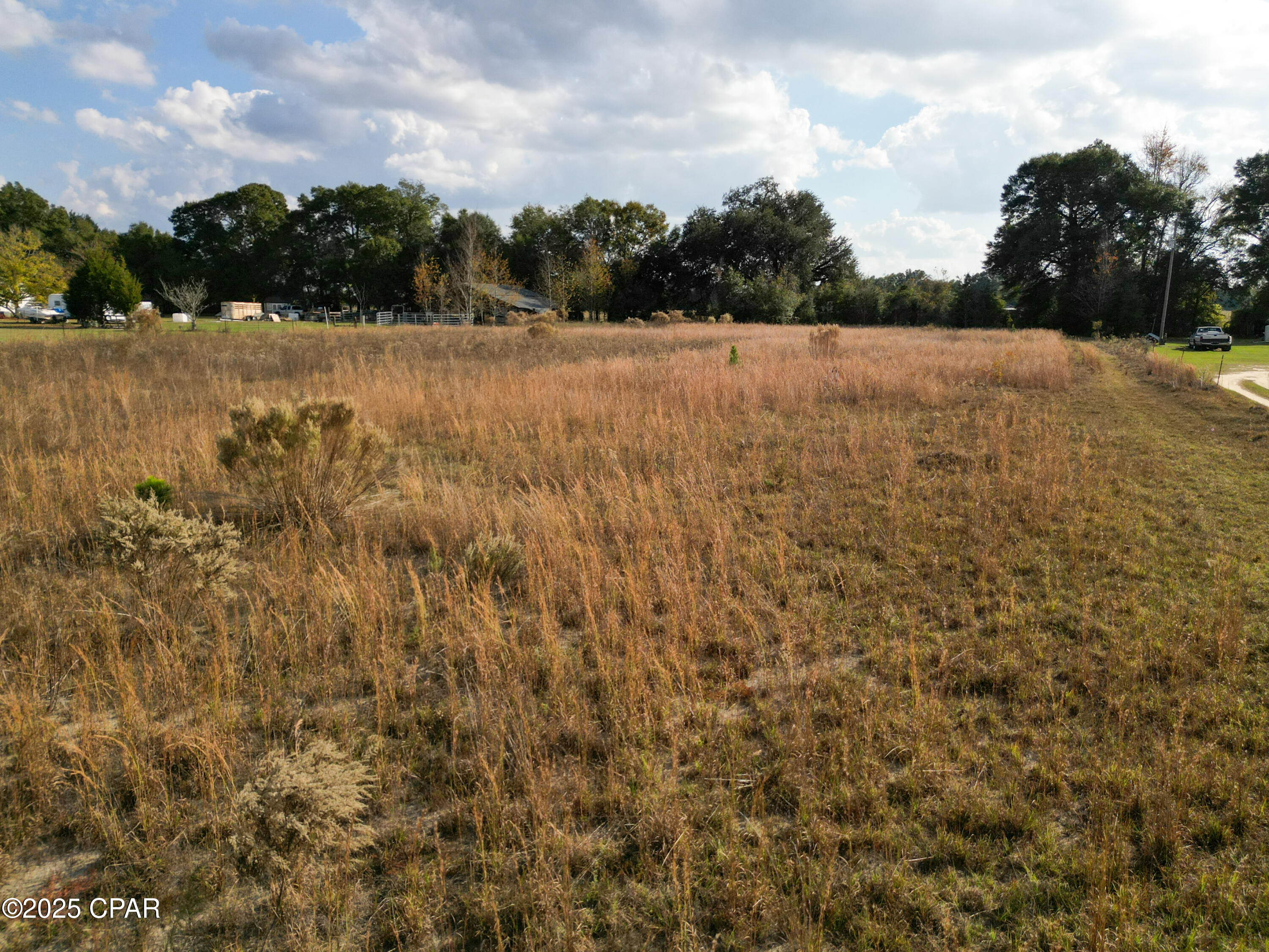 0 Welcome Church Road Sneads, FL 32460 - Photo 13 of 14