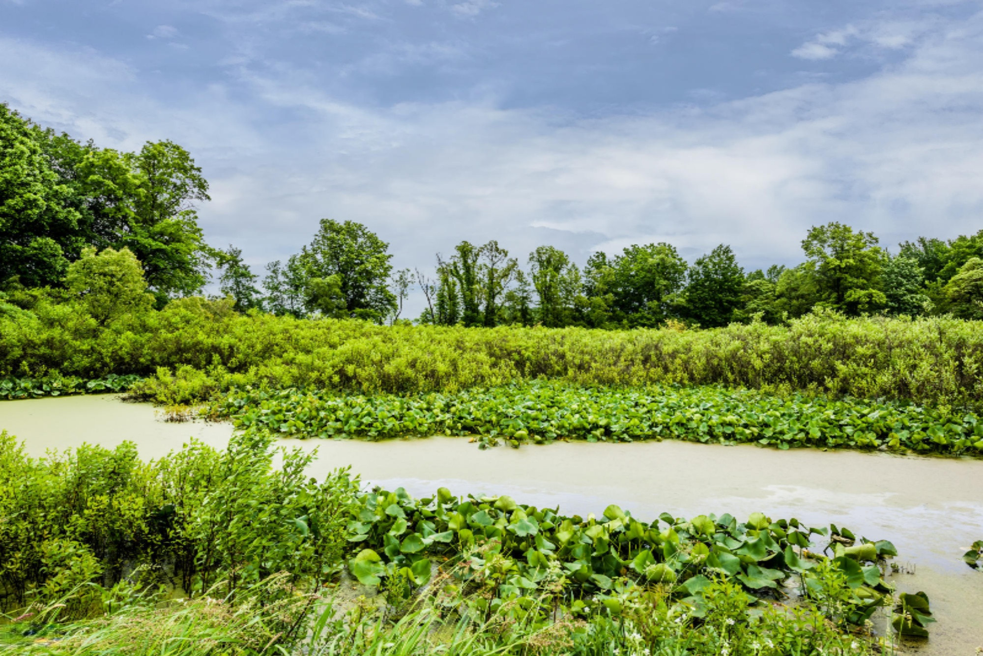 6815 Carmody Road Coloma, MI 49038 - Photo 5 of 27 Private Pond