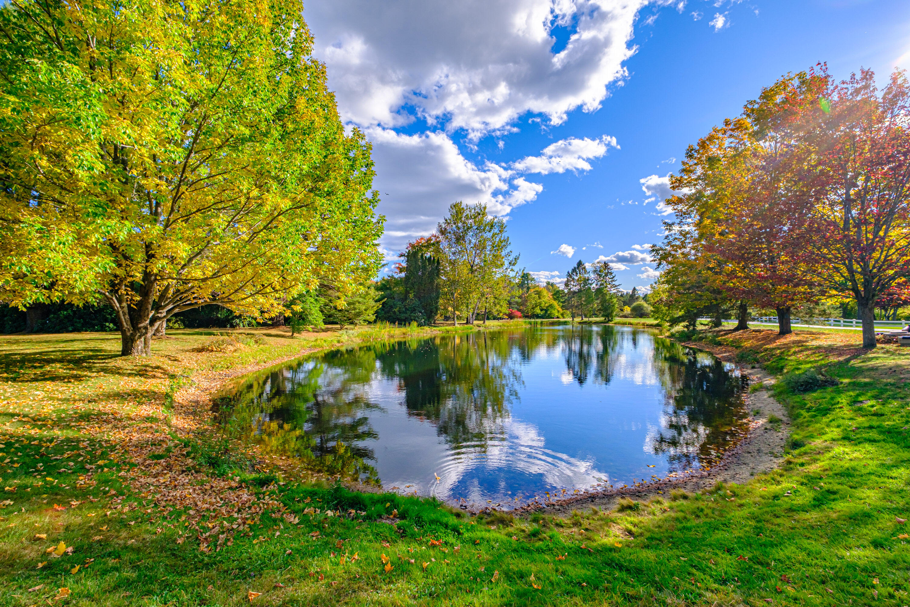 54 Royall Point Road Yarmouth, ME 04096 - Photo 52 of 64 20251001gp-63078