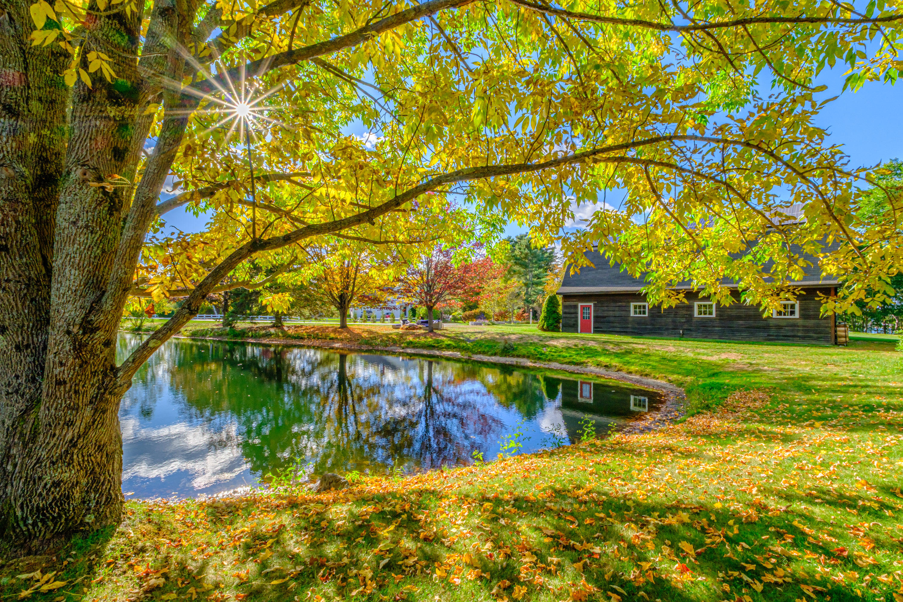 54 Royall Point Road Yarmouth, ME 04096 - Photo 53 of 64 20251001gp-63080