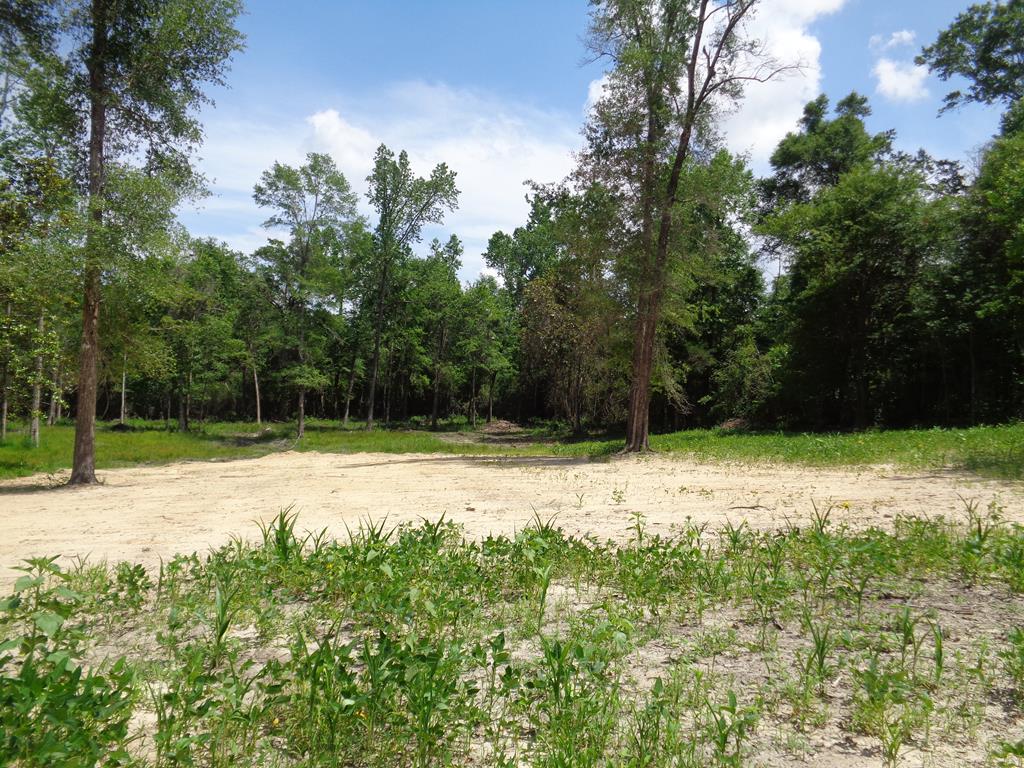7.1-ac Lucy Grade Road Ashford, AL 36312 - Photo 1 of 1