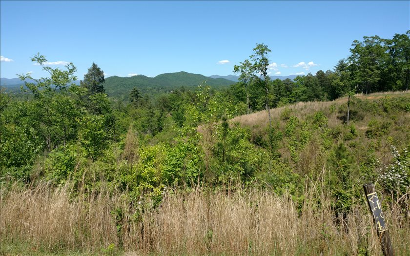 41 Point Overlook Trail Murphy, NC 28906 - Photo 1 of 4 Main View