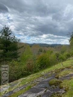 Lot 8 Ravenel Ridge Road Highlands, NC 28741 - Photo 6 of 13 Gallery Image 6