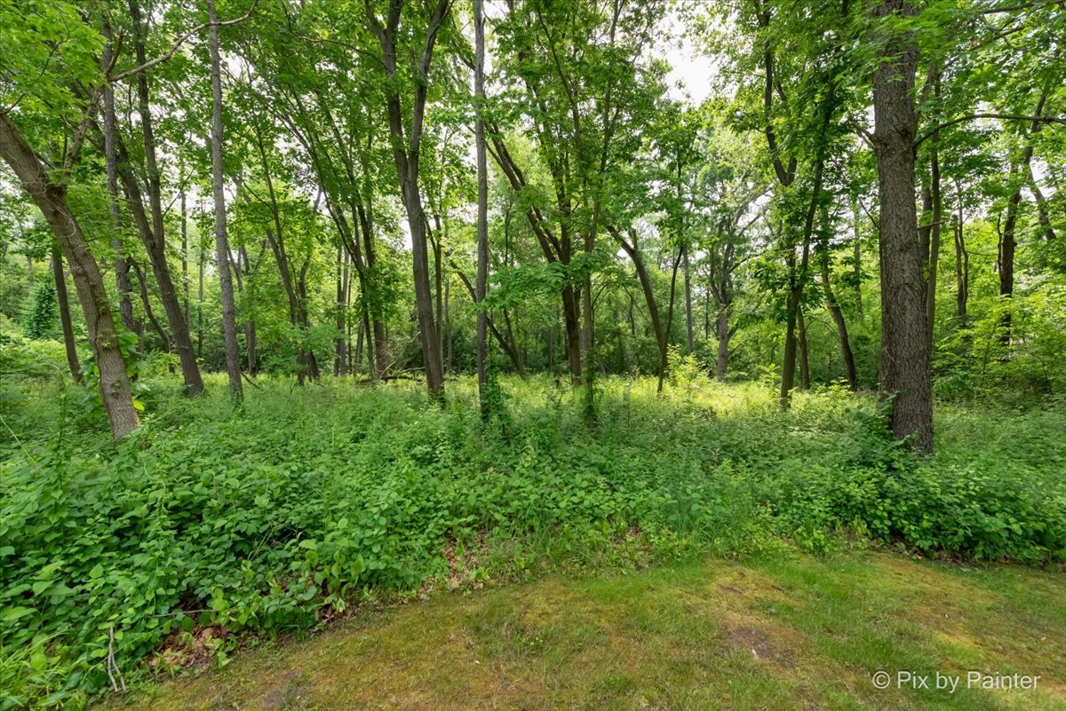 39225 Rangers Way Antioch, IL 60002 - Photo 3 of 7