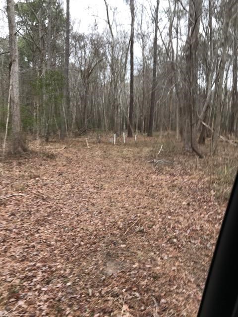 36170 Upshurs Nck Road, Unit 110 Melfa, VA 23410 - Photo 12 of 14