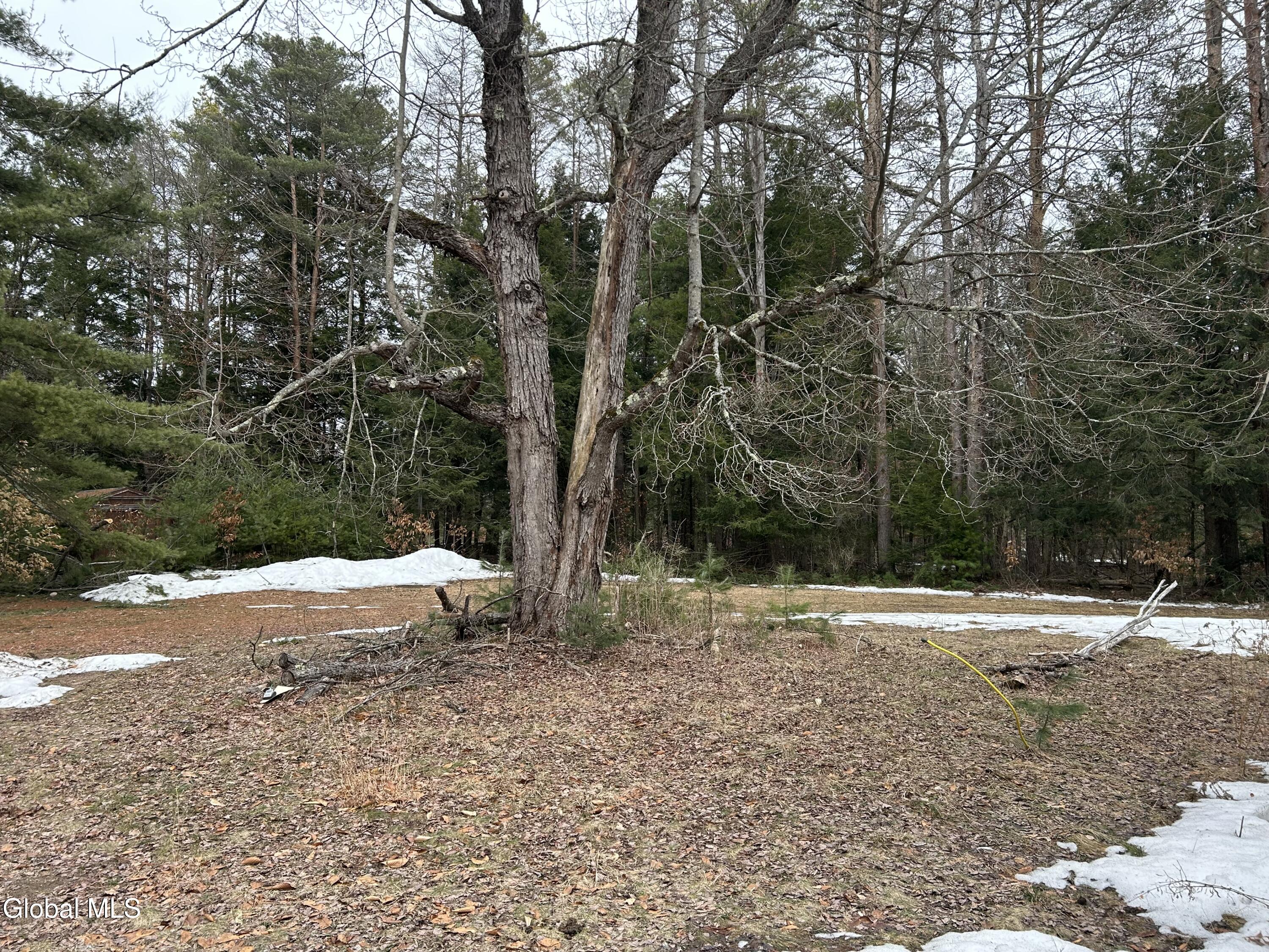 147 Lampman Road Broadalbin, NY 12025 - Photo 12 of 13 IMG_8636