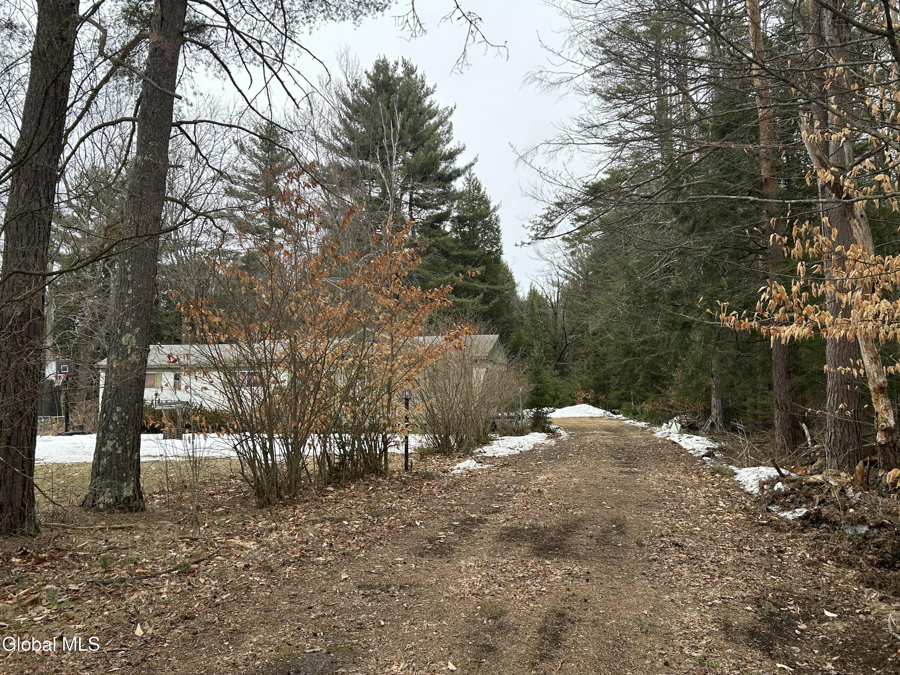 147 Lampman Road Broadalbin, NY 12025 - Photo 2 of 13 IMG_8633