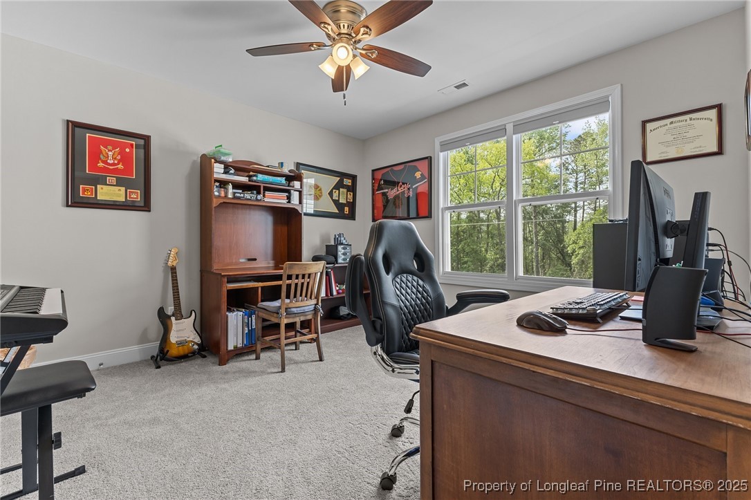 1060 McNeil Pond Road Lumber Bridge, NC 28357 - Photo 20 of 42 Gallery Image 20
