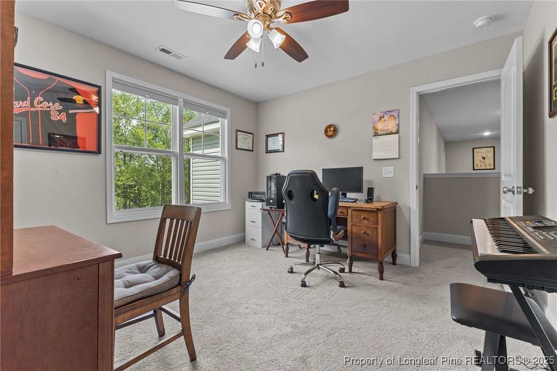 1060 McNeil Pond Road Lumber Bridge, NC 28357 - Photo 21 of 42 Gallery Image 21