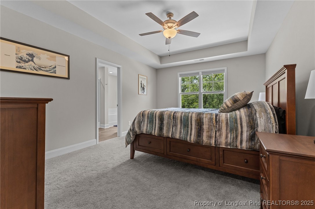 1060 McNeil Pond Road Lumber Bridge, NC 28357 - Photo 27 of 42 Gallery Image 27