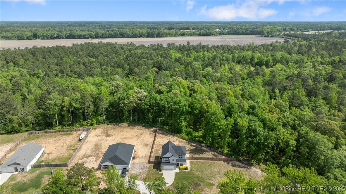 1060 McNeil Pond Road Lumber Bridge, NC 28357 - Photo 40 of 42 Gallery Image 40