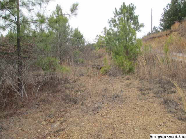 2061 Creel Road Morris, AL 35116 - Photo 4 of 6