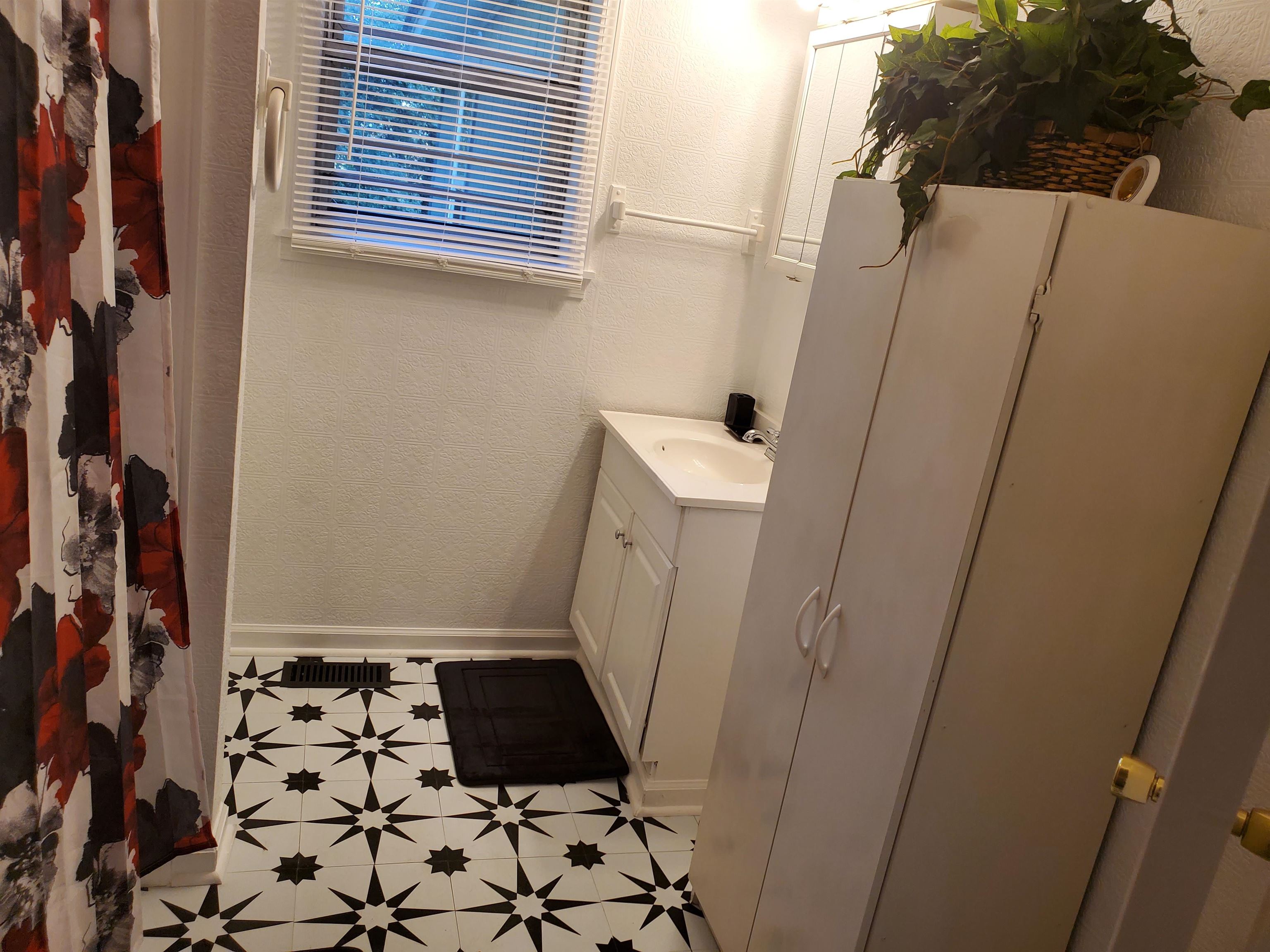 150 Dry Creek Road Toone, TN 38381 - Photo 3 of 6 a bathroom with a sink and a mirror