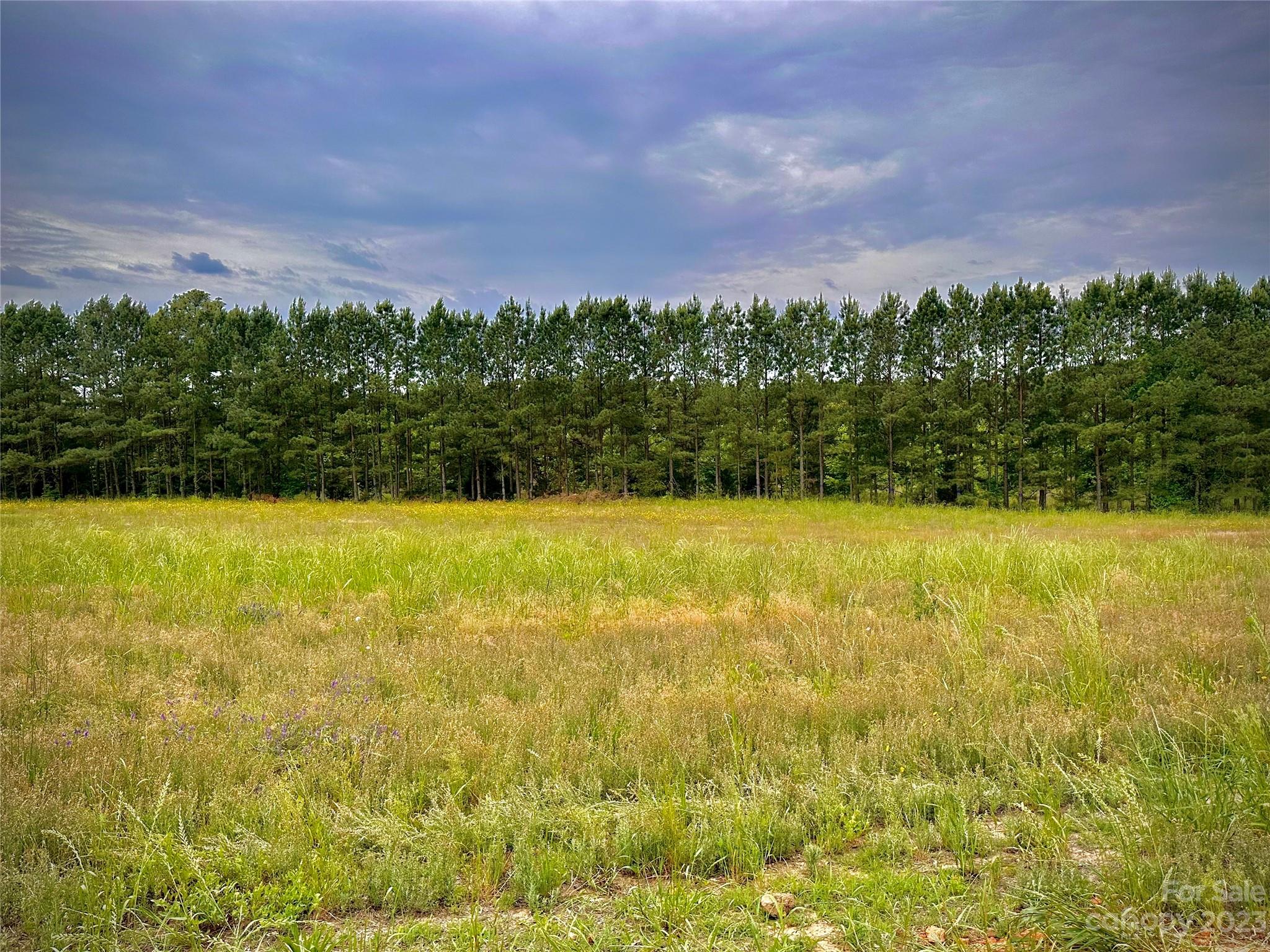 a view of outdoor space with yard and ocean view