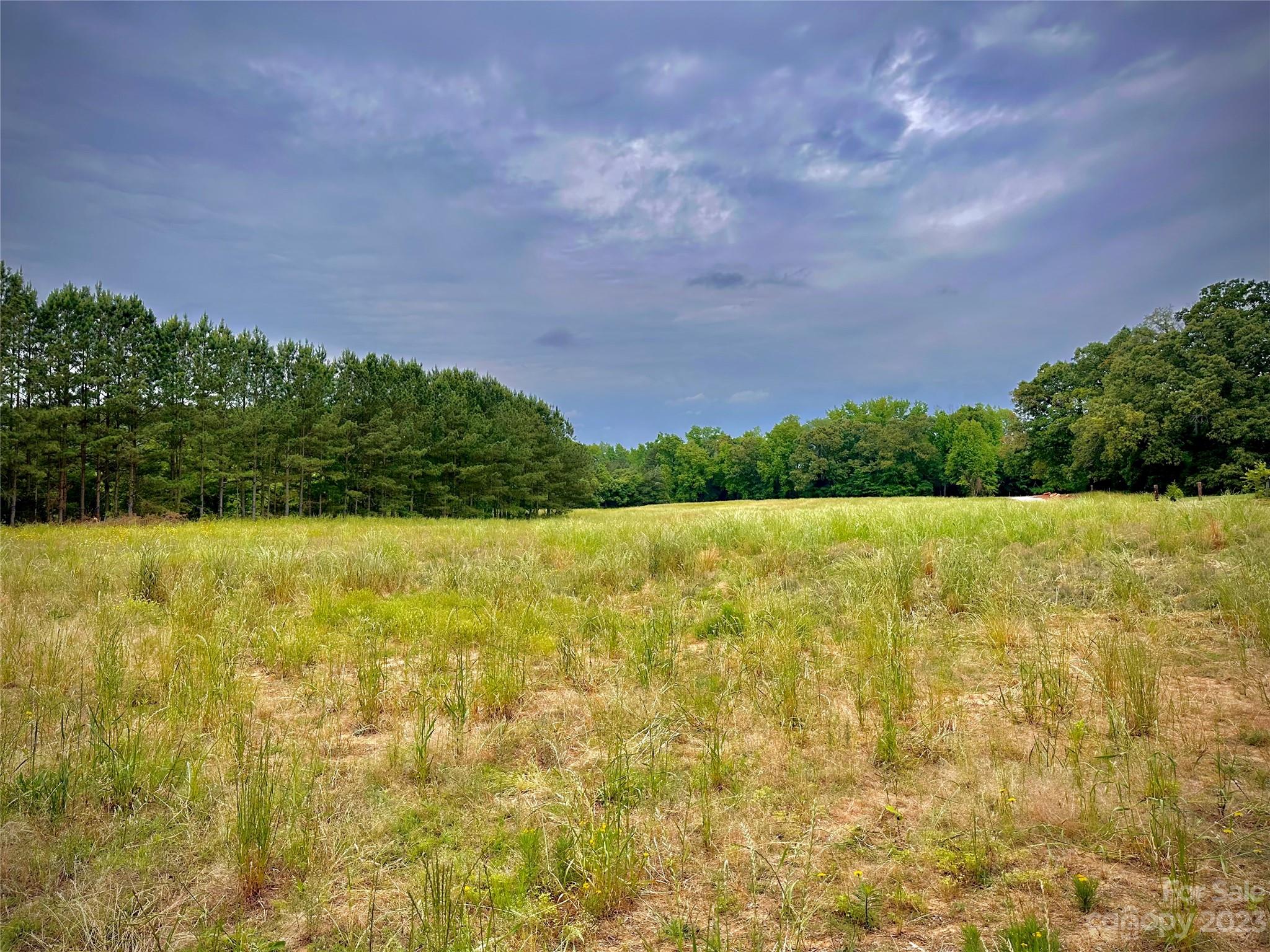 2715 Armenia Road Chester, SC 29706 - Photo 2 of 2 a view of lake with houses in the background