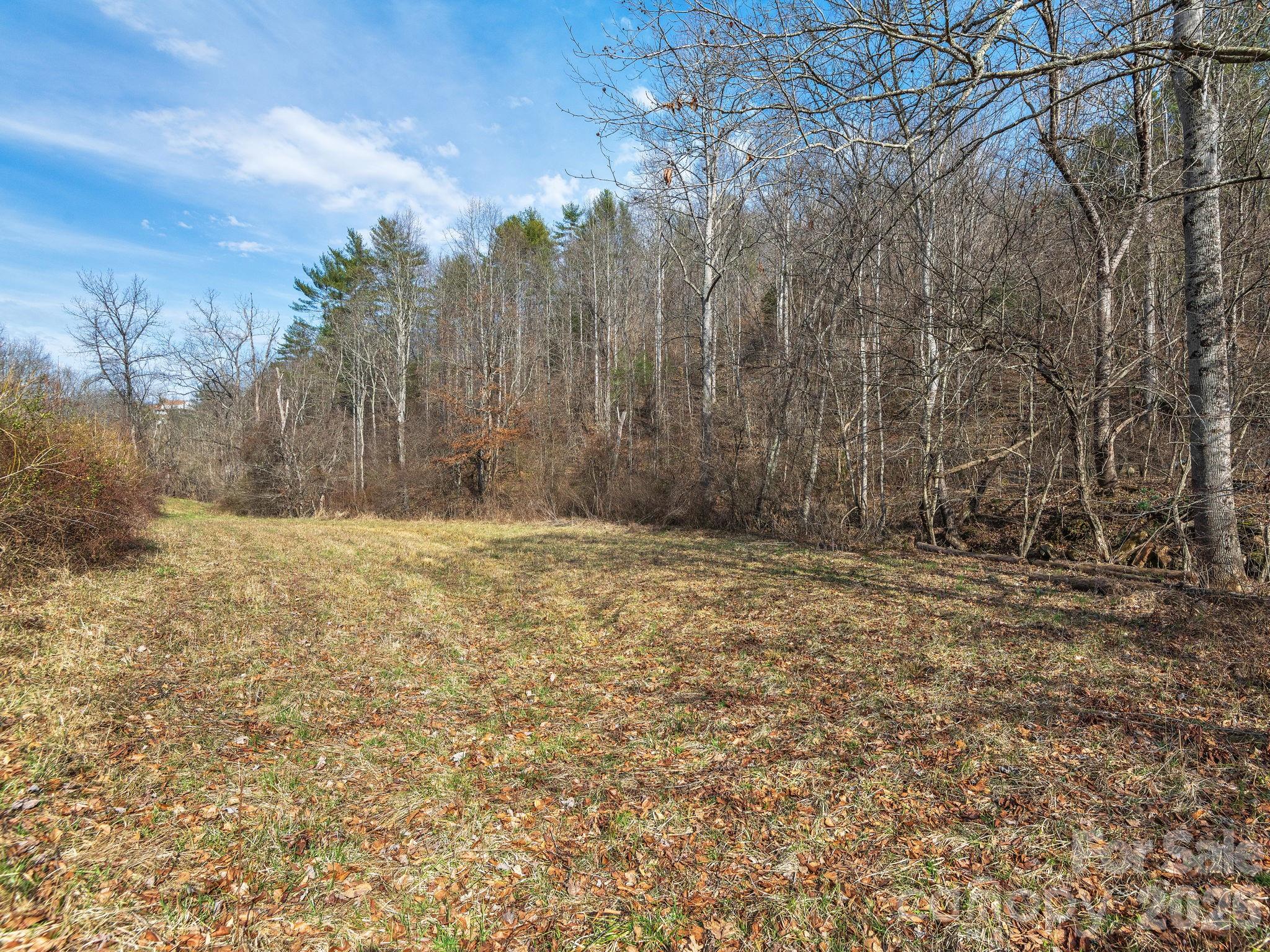 99999 Baileys Branch Road Marshall, NC 28753 - Photo 4 of 10 a view of large yard