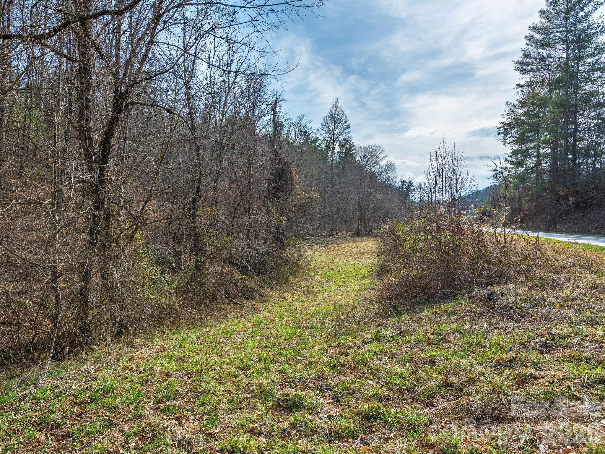 99999 Baileys Branch Road Marshall, NC 28753 - Photo 5 of 10 a view of a yard with large trees