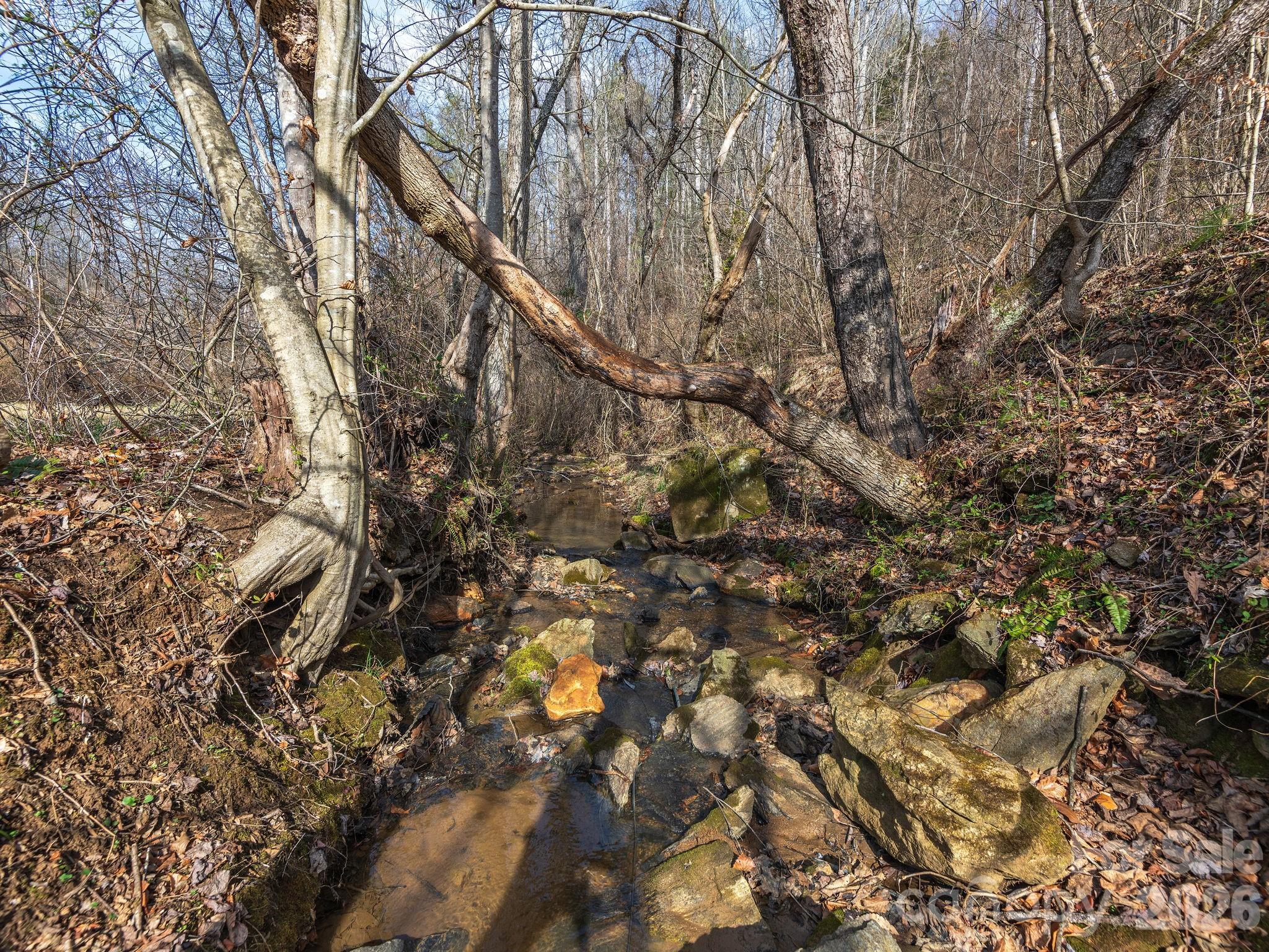 99999 Baileys Branch Road Marshall, NC 28753 - Photo 6 of 10 a backyard of a house with lots of trees