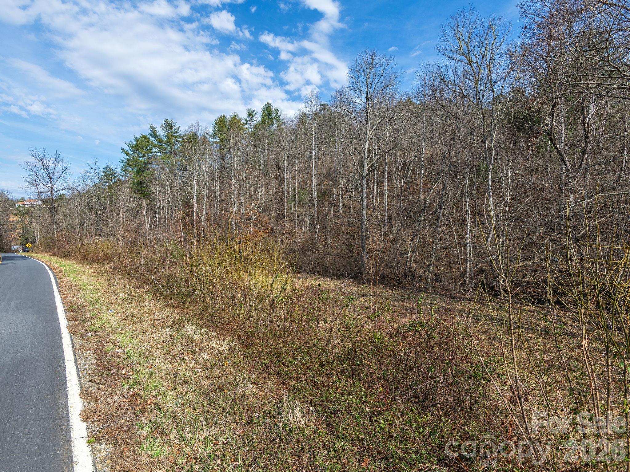 99999 Baileys Branch Road Marshall, NC 28753 - Photo 7 of 10 a view of a yard with trees