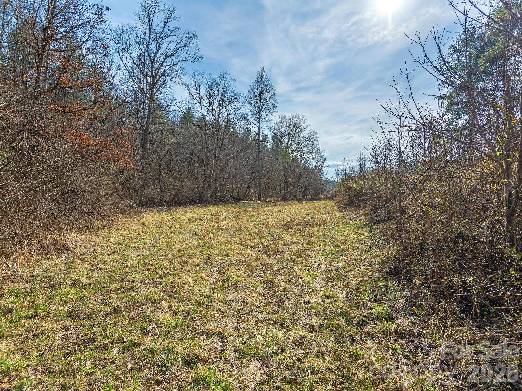 99999 Baileys Branch Road Marshall, NC 28753 - Photo 8 of 10 a view of a yard with a house