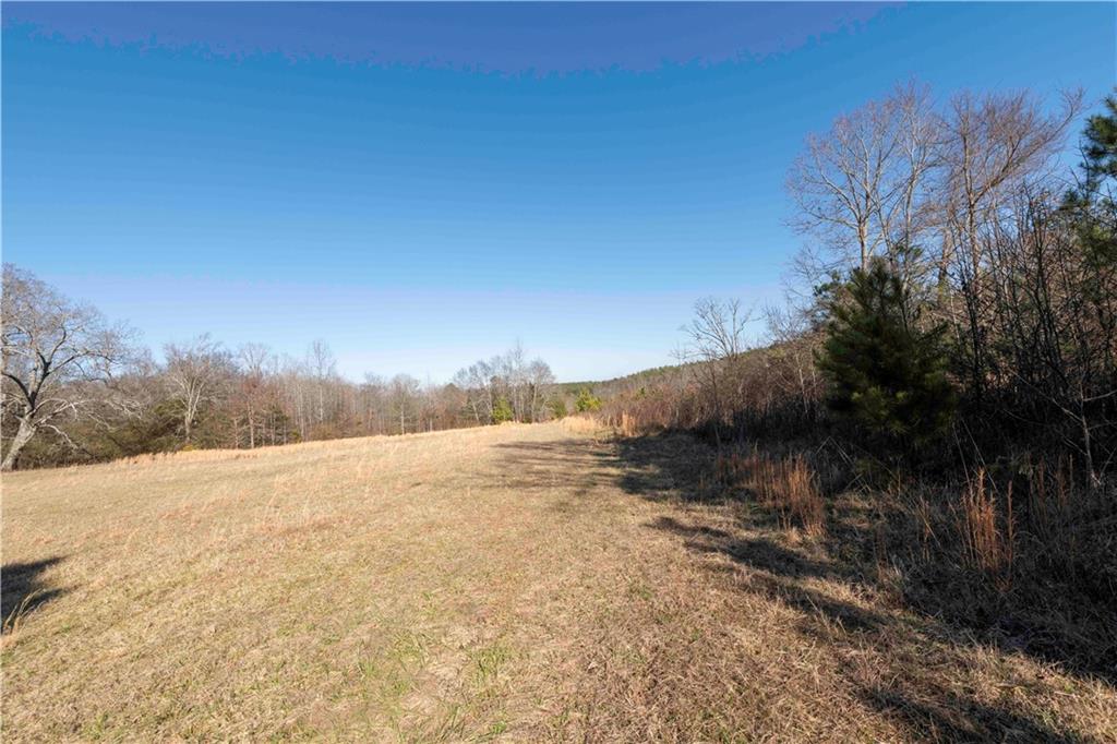 0 Sam Sutton Road Northwest Adairsville, GA 30103 - Photo 11 of 14 a view of an ocean beach