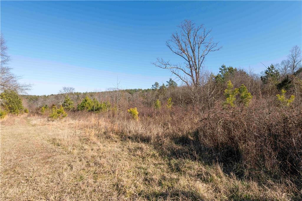 0 Sam Sutton Road Northwest Adairsville, GA 30103 - Photo 12 of 14