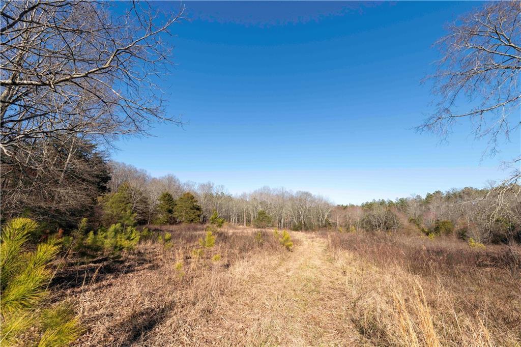 0 Sam Sutton Road Northwest Adairsville, GA 30103 - Photo 13 of 14 a view of lake with mountain