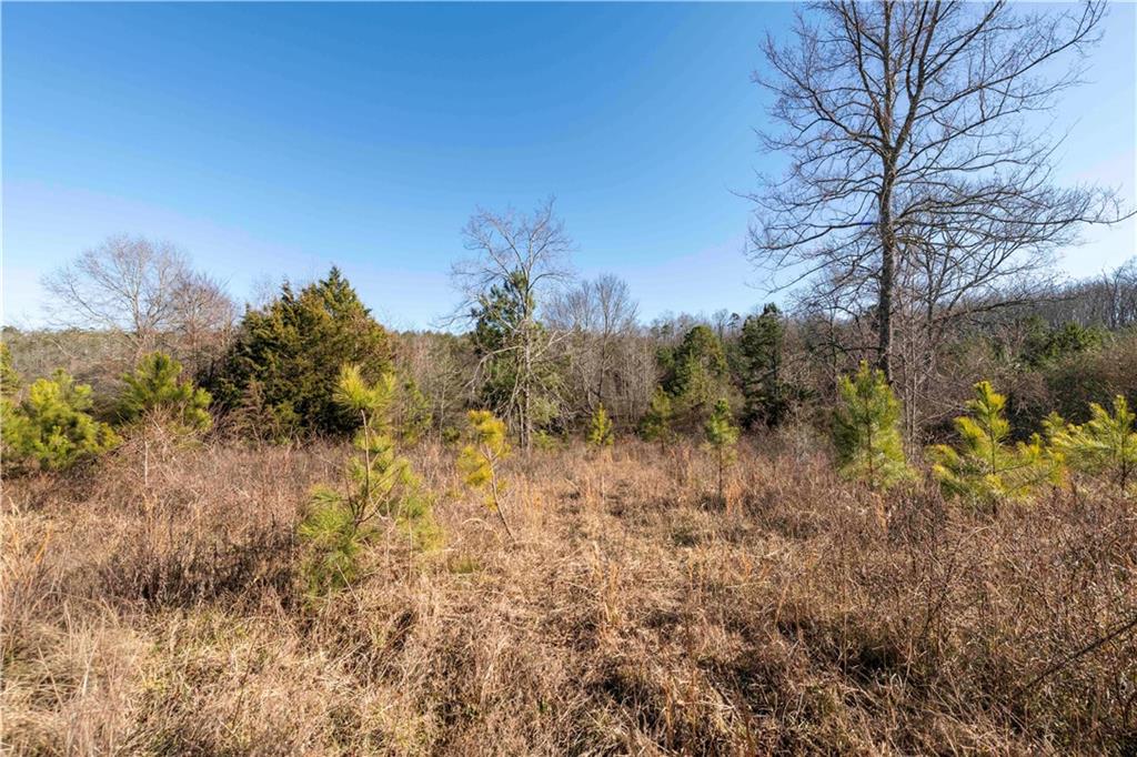0 Sam Sutton Road Northwest Adairsville, GA 30103 - Photo 14 of 14 a view of a yard