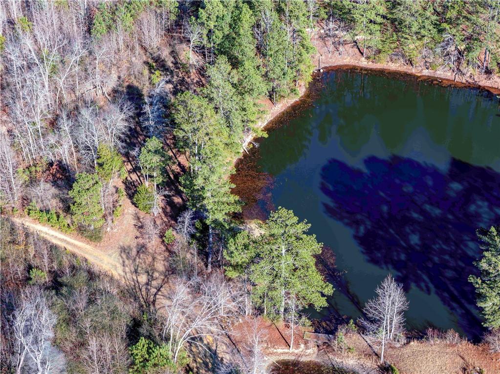 0 Sam Sutton Road Northwest Adairsville, GA 30103 - Photo 3 of 5