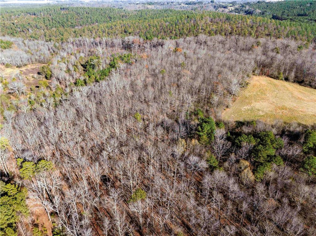 0 Sam Sutton Road Northwest Adairsville, GA 30103 - Photo 4 of 5