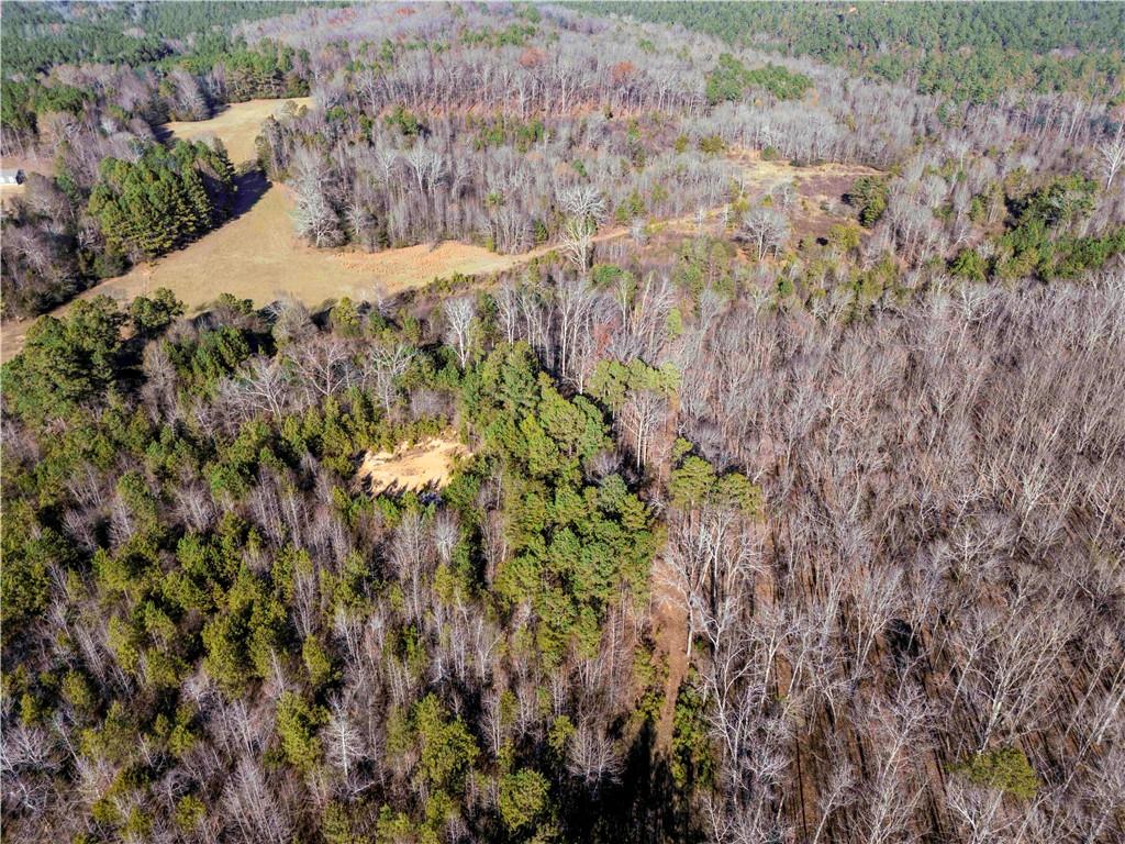 0 Sam Sutton Road Northwest Adairsville, GA 30103 - Photo 5 of 5