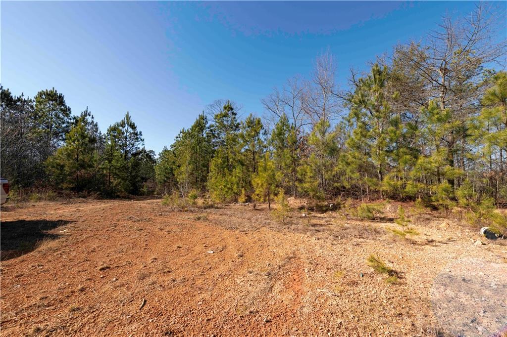 0 Sam Sutton Road Northwest Adairsville, GA 30103 - Photo 9 of 14 a view of dirt yard with a tree
