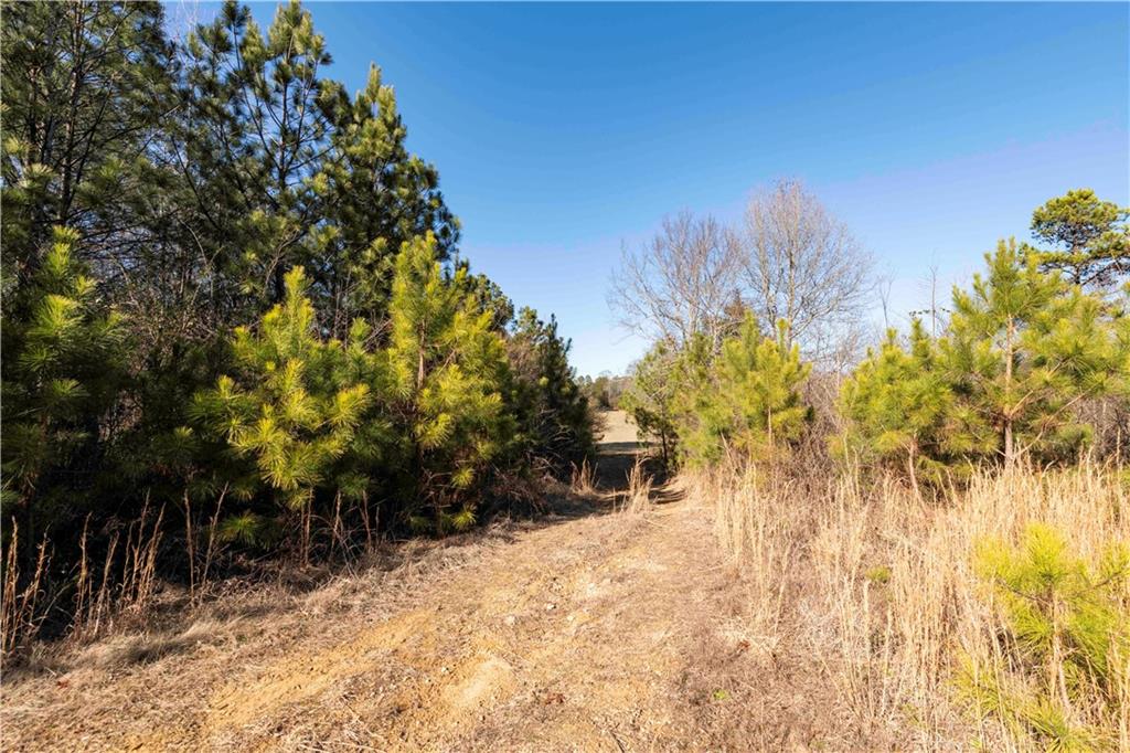 0 Sam Sutton Road Northwest Adairsville, GA 30103 - Photo 10 of 14 a view of outdoor space with trees