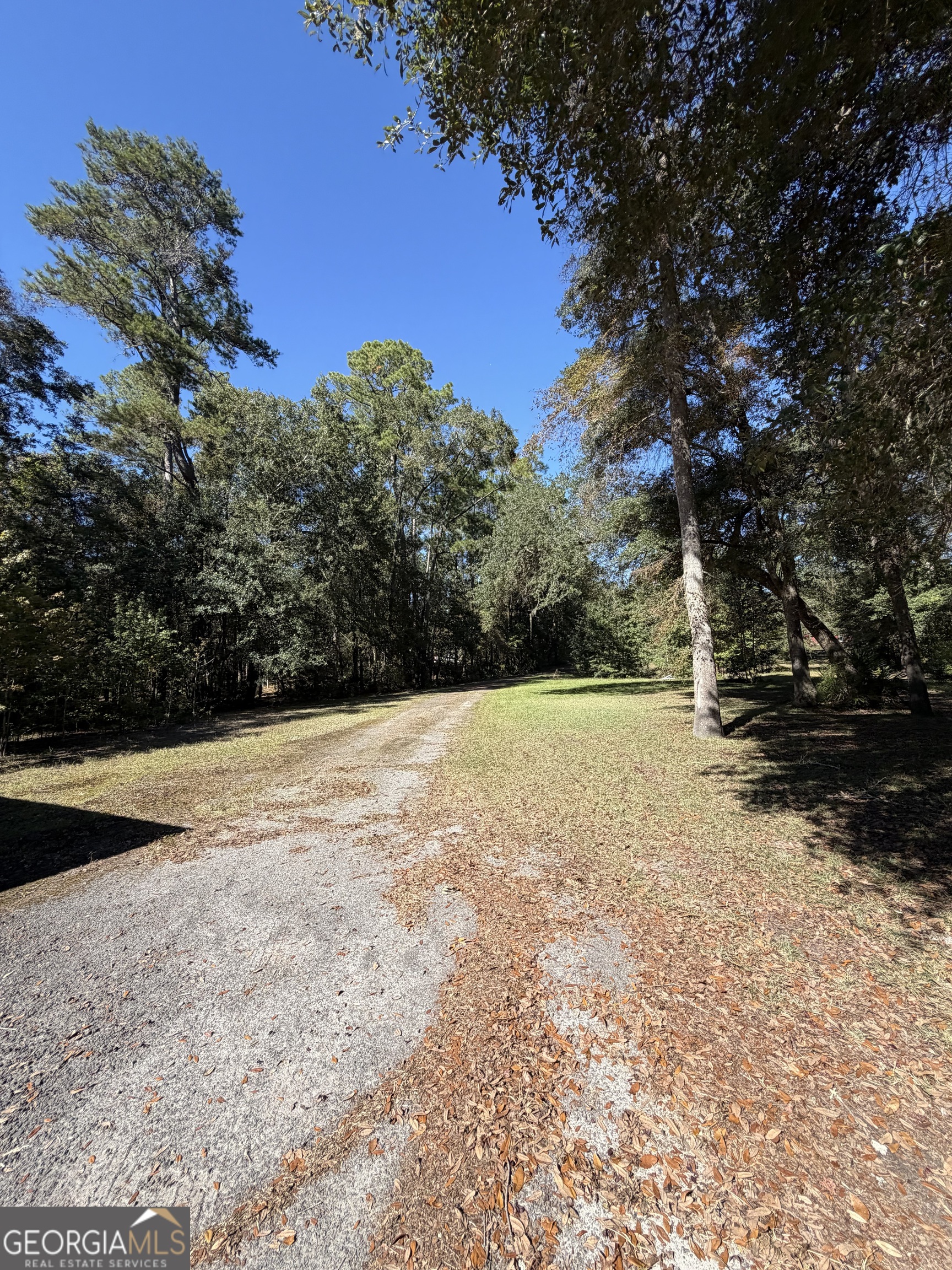 1621 St Marys River Bluff Road St. George, GA 31562 - Photo 5 of 27