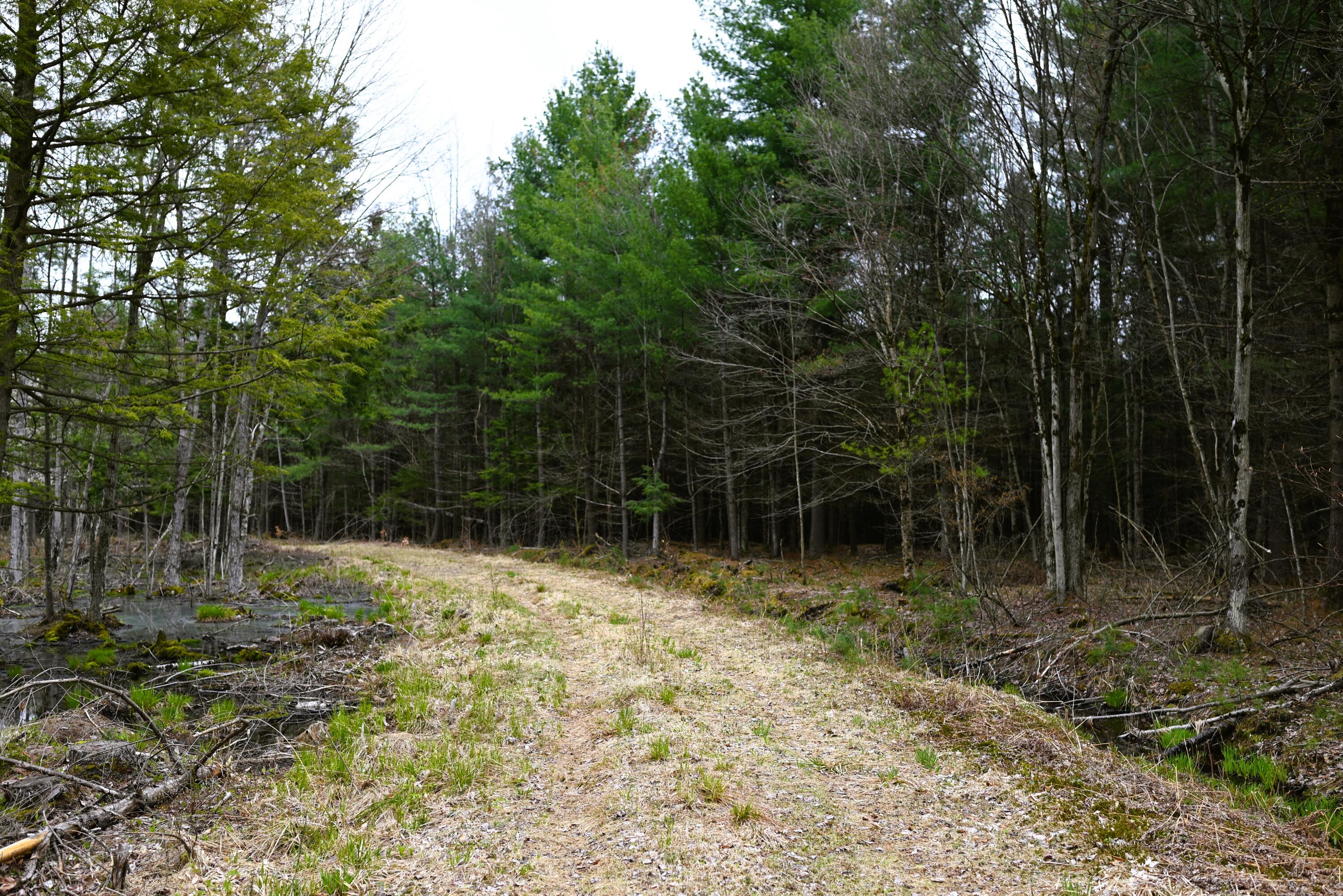 422 Stebbins Road Constable, NY 12926 - Photo 19 of 30 Gallery Image 19