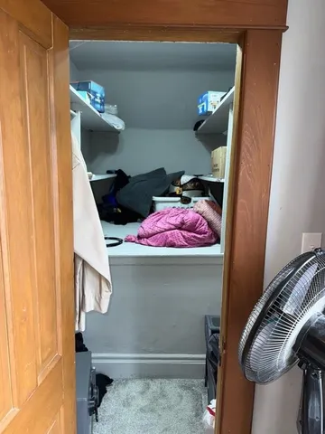 a street view with large trees