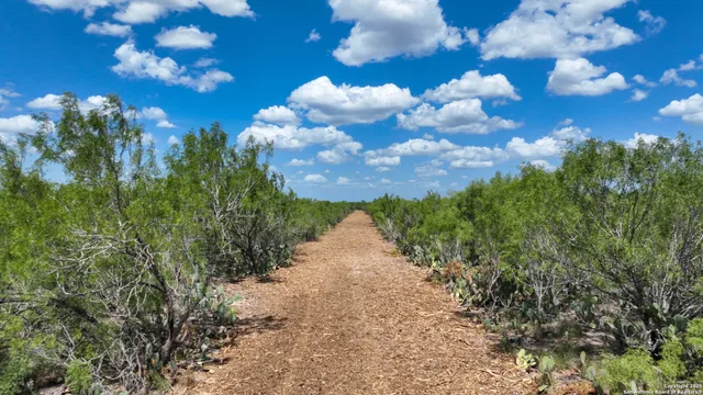 $159,900 | 0 Old Fowlerton Road, Tilden, TX 78021