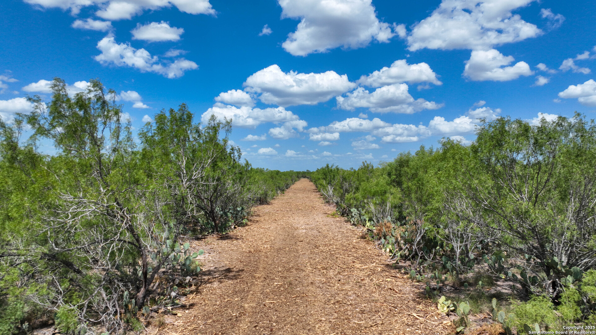 0 Old Fowlerton Road Tilden, TX 78021 - Photo 2 of 8