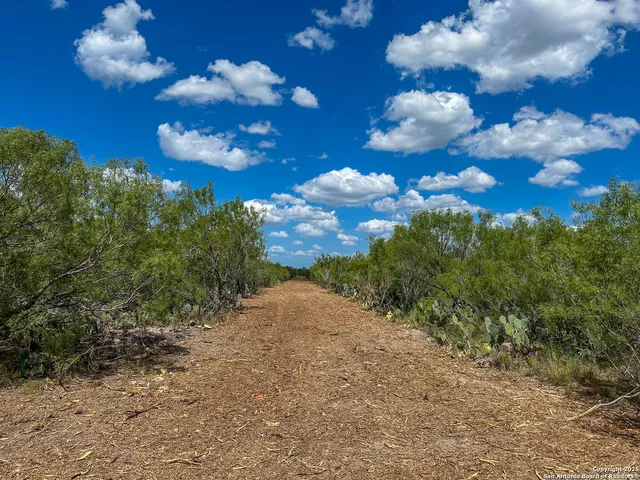 $159,900 | 0 Old Fowlerton Road, Tilden, TX 78021