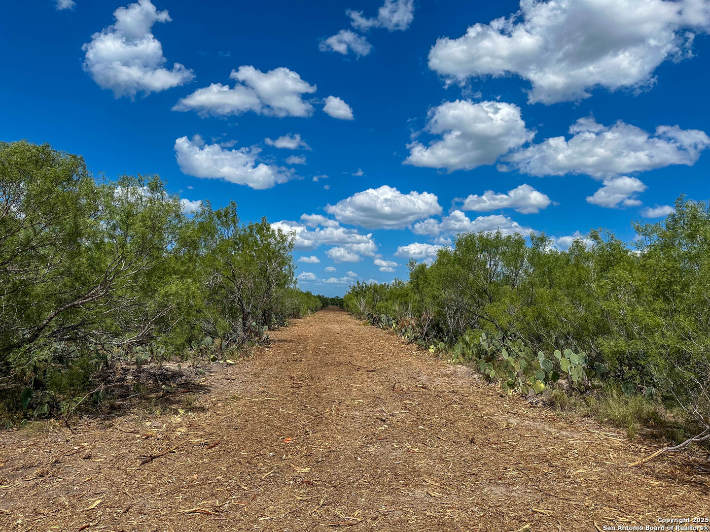 0 Old Fowlerton Road Tilden, TX 78021 - Photo 6 of 8