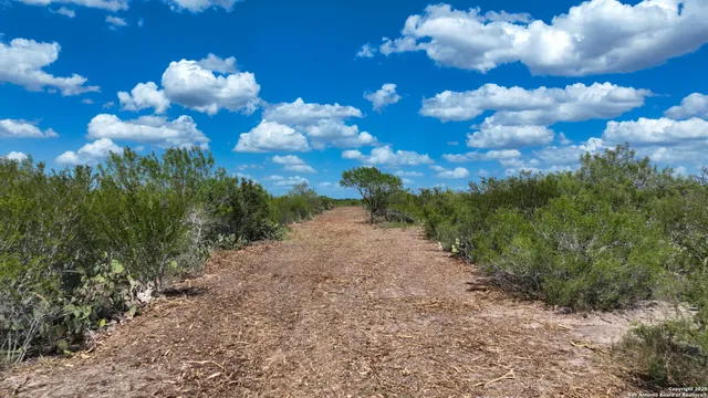 $159,900 | 0 Old Fowlerton Road, Tilden, TX 78021