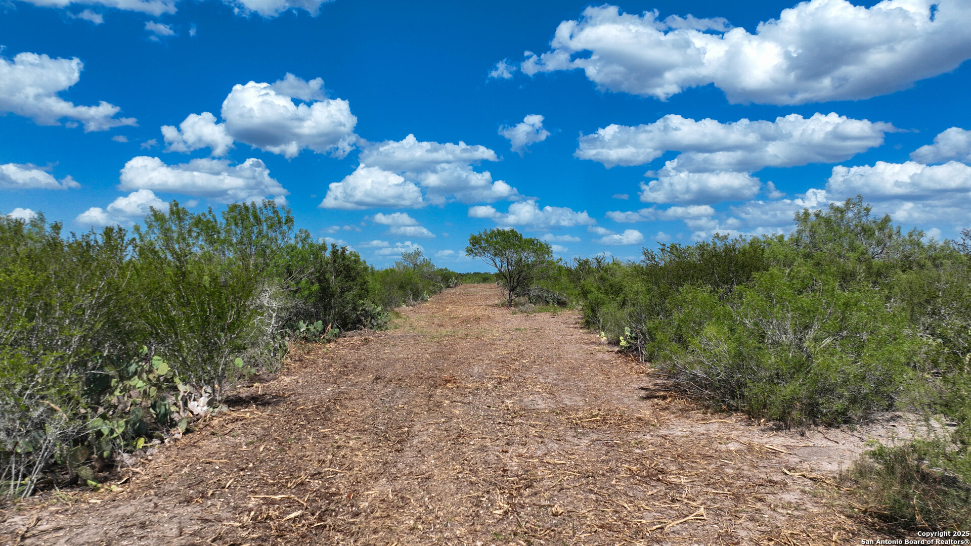 0 Old Fowlerton Road Tilden, TX 78021 - Photo 8 of 8