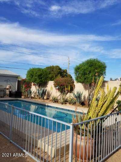 2725 East Beardsley Road Phoenix, AZ 85050 - Photo 35 of 35 IMG_2691