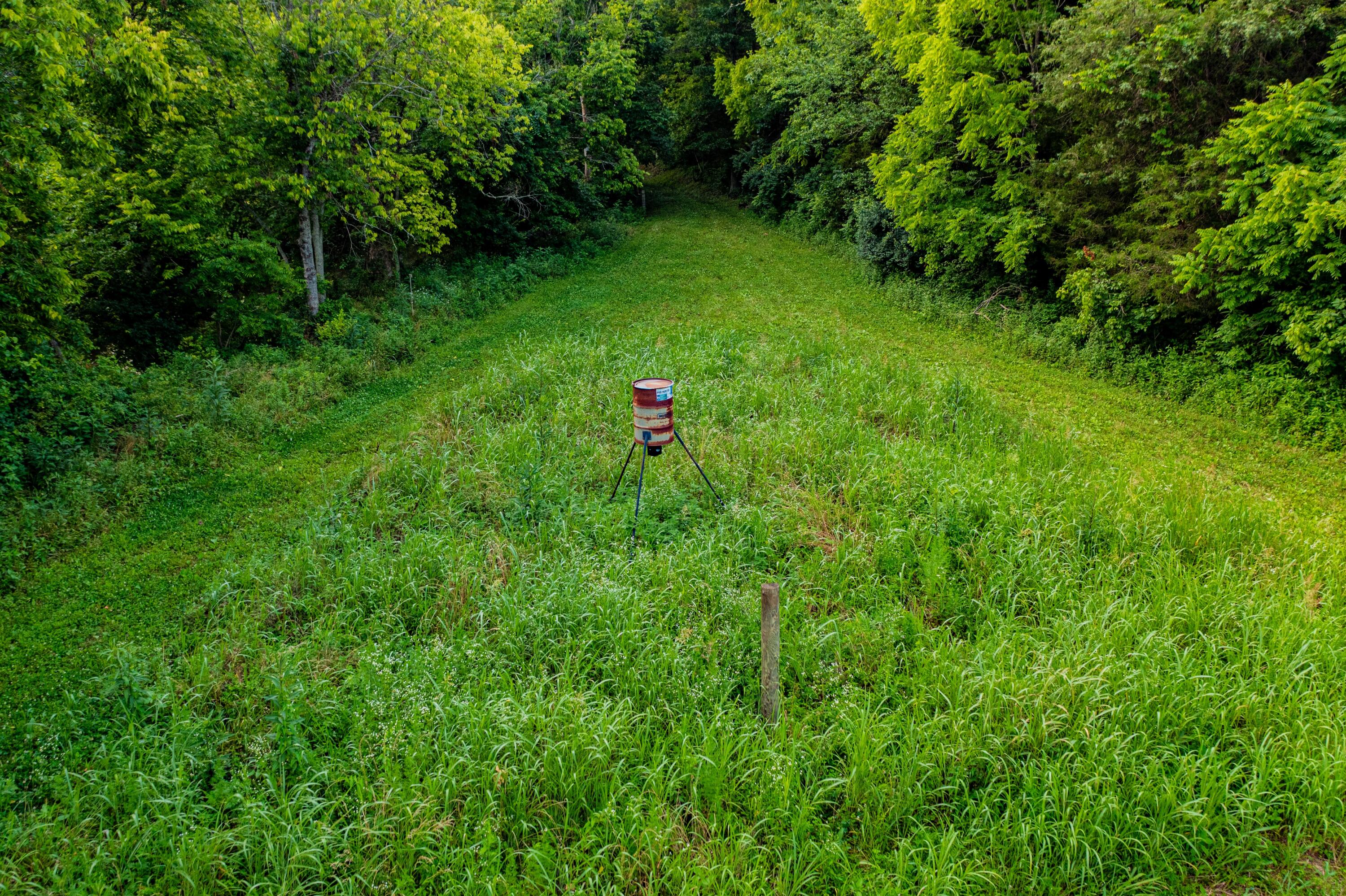 651 Fairview Road Salvisa, KY 40372 - Photo 33 of 40 651 Fairview Rd #4