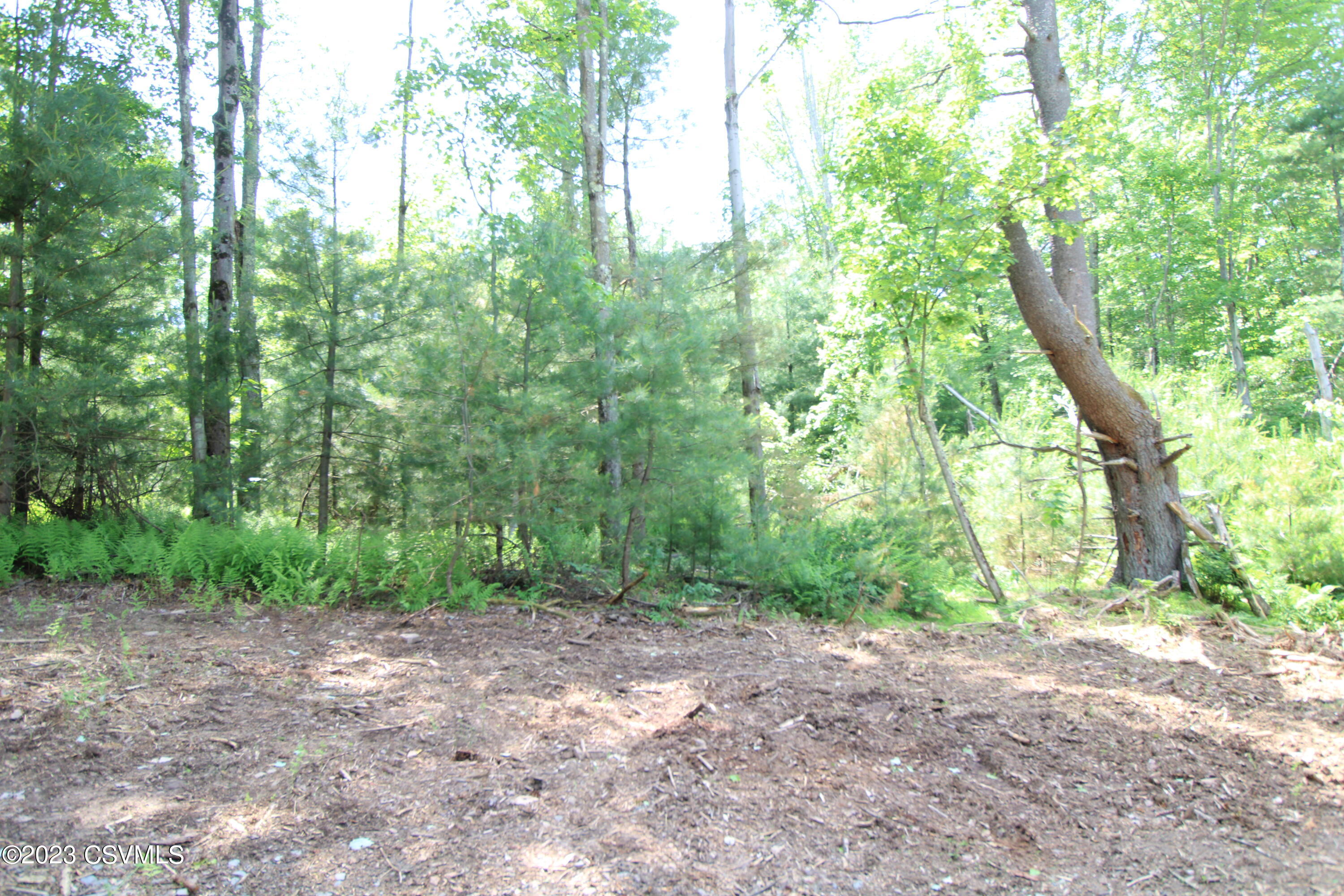 Campbell Road Benton, PA 17814 - Photo 3 of 5