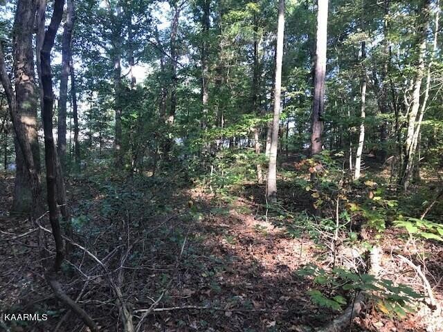 8 Mountain View Road Benton, TN 37307 - Photo 11 of 11