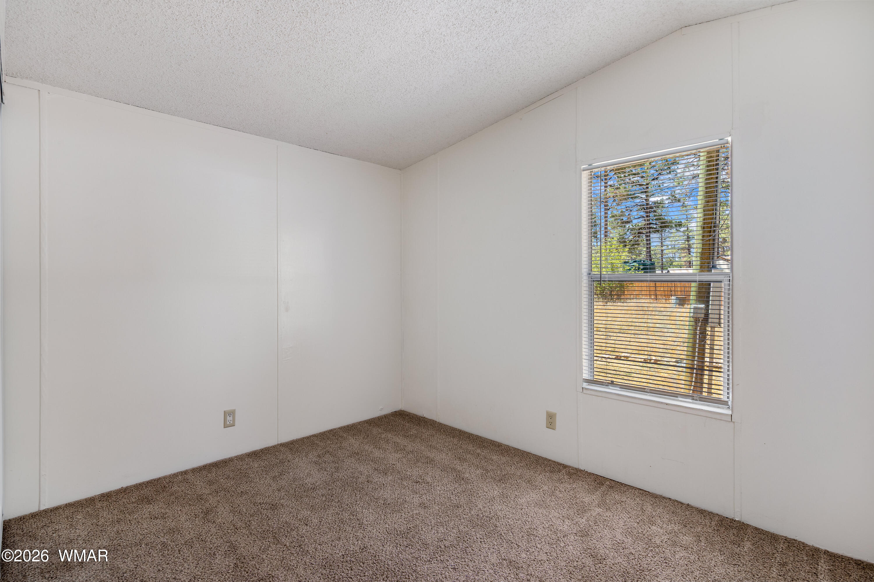 2177 Ruby Lane Overgaard, AZ 85933 - Photo 18 of 26