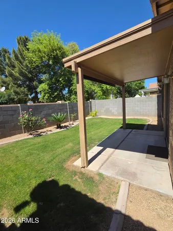 a view of backyard with tree