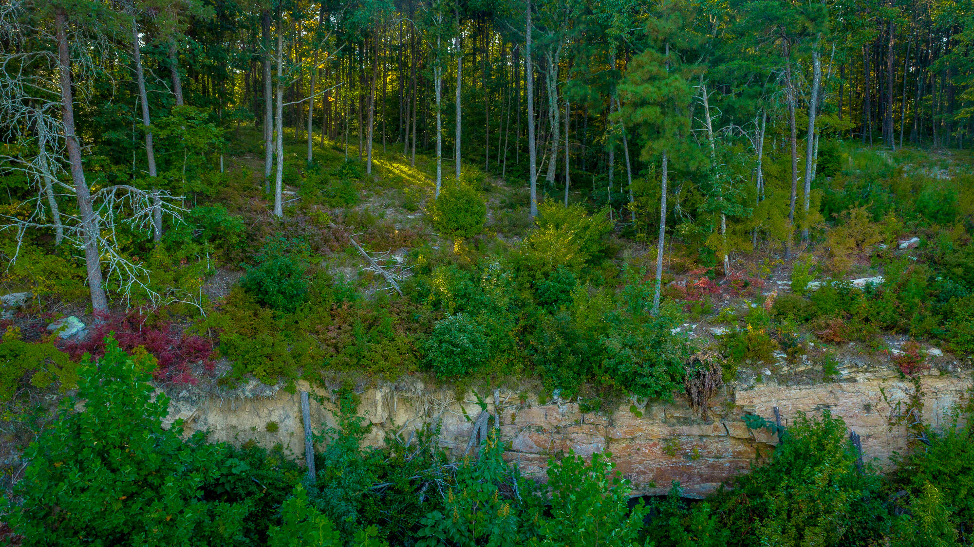 0 High Ground Road, Unit LOT 2218 Guild, TN 37340 - Photo 52 of 115 0 High Ground Road - Lot 2218 HD-16